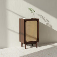 Cane Door Storage Cabinet Solid Wood Rattan Footwear Storage Unit Minimalist Style Household Furniture for Living Room