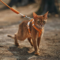 Adjustable Cat Harness and Kitten Walking Set, H-shaped Textile Strap Outdoor Cat Harness, Secure Non-Retractable Leash for Outdoor Walking