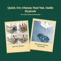 Fast-drying diatomaceous bath mat