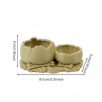 Gecko Feeding Bowl Stable Base Pet Supplies Portion Control