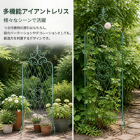 Iron Garden Arch Trellis 160x60cm Clematis Rose Training Fence