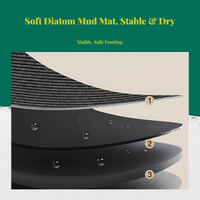 Bathroom Mat, Diatomaceous Earth Bath Rug, Quick Dry, Non-Slip, Absorbent, Thick Floor Carpet