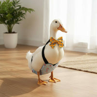 Duck Diaper Washable Pet Accessory Waterproof
