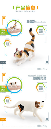 PVC Cat Figurine Set for Children's Educational Play