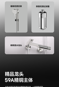 瑞摩银月花洒无顶喷多功能花洒套装含喷头支架全铜混水阀超柔软管