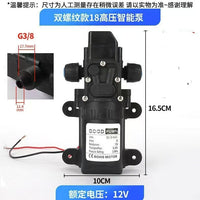 18-Thread Multi-Purpose 12V Diaphragm Pump for Car Washing