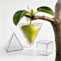 水果造型盒 Fruit Shaping Mold for Growing Unique水果造型模具