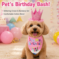 Dog Birthday Hat for Photo Shoot, Pet Costume Two-Piece Set, Letter Print Dog Birthday Bandana for Party, Fashionable Design