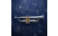 Trumpet Set Three-Voice Trumpet with Hard Case Tarnish-Resistant Brass Instrument for Performances