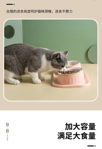 跨境猫碗陶瓷双碗防打翻宠物碗水粮一体狗碗保护颈椎易清洗飞碟碗