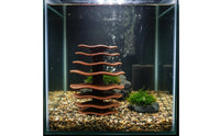 Aquarium Crustacean Cave Freshwater and Saltwater Safe Suction Cup Fish Ledge