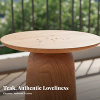 Waterresistant Small Round Accent Table sunlight-resistant Round Tripod Table Nordic Design outsidedoor Furniture Weather Resistant for Apartment Dwellers, Decor lovers, Balcony, Garden, Living Room, Backyard