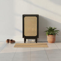 Cane Door Storage Cabinet Solid Wood Rattan Footwear Storage Unit Minimalist Style Household Furniture for Living Room