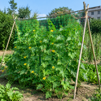 Verdant Garden Netting Mesh, 2.7m Square Trellis for Climbing Plants, Synthetic Polymer Support for Peas & Beans