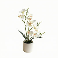 Artificial Flower Arrangement Plastic Table Decoration Zero Maintenance