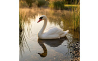 Swan Garden Ornament Realistic Animal Sculpture Freestanding for Pond