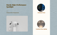 Adjustable narrow-beam LED spotlight