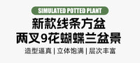 两叉9朵手感蝴蝶兰线条方盆盆景室内创意装饰塑料仿真花桌面盆栽