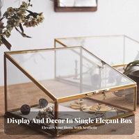 Trapezoid Glass Display Case Gilded Finish Frame Lidded Glass Case Clear View