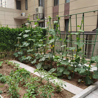Indoor Plants Garden Trellis for Climbing Plants, Rust Resistant Plant Support for Outdoor Plants, Integrated Molding Frame for Potted Plants