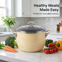 Double Handle Soup Pot 6 Liter Soup Pot Household Soup Pot for Home Cook Large Soup Pot with Glass Lid Induction Compatible Dutch Oven