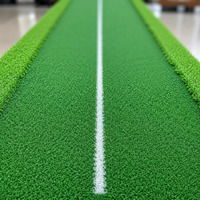 300cm Putt Mat with Artificial Turf, Non-Slip Golf Mat for Indoor Training, Portable, Realistic Grass Texture, Practice Holes, Flags