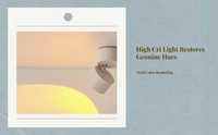 Flush Mount LED Spotlight, Adjustable Projection Accent Light