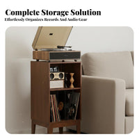 Vinyl Record Storage Cabinet Solid Wood LP Album Storage Furniture Mortise and Tenon Structure Stable Construction Dedicated Audio Organizer Suitable for Living Room Study Audio Room