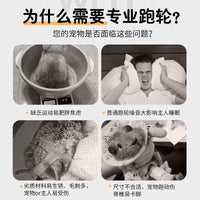 宠物跑轮静音龙猫蜜袋鼯解闷玩具大号跑步转轮松鼠笼用品大全批发