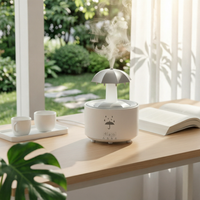 Umbrella Humidifier Decorative Rain Vapor Humidifier Vaporizer Compact Mist Maker Modern for Bedroom, Living Room