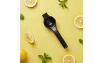Stainless Steel Lemon Juicer Rust Resistant Lemon Juicer Ergonomic Handle