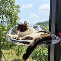 Cat Hammock Window Cat Perch with Transparent Dome, 3 Strong Suction Cup Bed for Indoor Pets, Sturdy Non-Foldable Elevated Sunbathing Seat