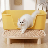 Cat Litter Trapper Double Layer Sifting Tray, Removable PP Material Box Step with Raised Legs, Portable Catcher for Adult Pet Open Top Toilet
