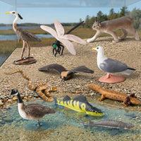 10 Pieces Hand-Painted Animal Figurines High Quality Plastic Animal Figures Miniature Forest Creature Figurines Sturdy for Collectors, Kids, Classroom