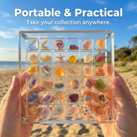 36 Compartment Storage Box, Transparent Organizer, Rock Display Case for Collectors, Beach Souvenir for Seashells