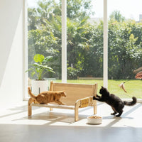 Wooden Feline Sofa Year-Round Raised Pet Couch Abrasion-Resistant-Accommodating