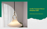 Adjustable Nordic dining pendant