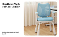 Adjustable Student Seat Stable and Anti-Slip Split-Back Child Chair for Students