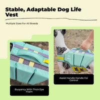 Dog Life Jacket: swim safety