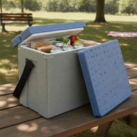 Food-Grade EPP Foam Insulated Cooler Box for Perishable Goods Transport