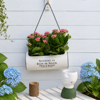 Vintage Iron Hanging Planter, Metal Hanging Pot with Chain, Baked Enamel Finish for Indoor/Outdoor, Balcony Verandah Patio