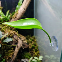 Realistic Oval Foliage Basking Ledge for Climbing Reptiles, Water-resistant Habitat with 5cm Suction Cup, Resting Spot for Tree Frogs and Reptiles