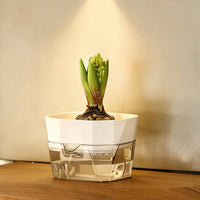 Soilless-Growing Bulb Vase 2-Layer Design Bulb Forcing Pot Gardening Supply for Plant Lovers, Indoor, Office