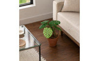 Mini Monstera Plant 1:12 Scale House Decor Textured