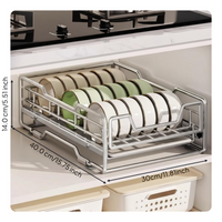 Stainless Steel Pull-Out Dish Rack