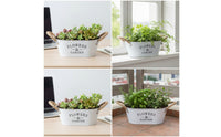 Galvanized Metal Planter with Rope Handles Vintage Oval Planter Rustic Flower Pot with Handles Farmhouse for Tabletop, Windowsill, Shelf