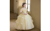 Long Sleeve Princess Dress Puffy Skirt Flower Girl Formal Dress for Wedding