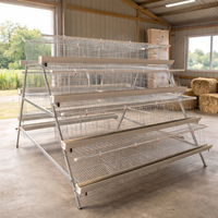 Tiered chicken cage, galvanized steel cage for laying hens, multi-level poultry cage for egg production, hygienic chicken keeping