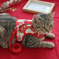 Cat Vest Harness and Leash Set, Polyester Walking Gear with Non-Retractable Harness Leash, Outdoor Chinese New Year Cat Supplies for M L Sizes