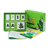 Children's Science Specimen Kit